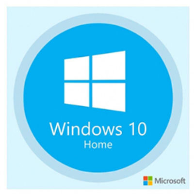 Microsoft Windows 10 256