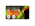 Smart TV OLED 65" LG OLED65B56LA 4K