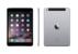 Sklepy,które sprzedają Apple iPad mini 3