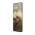 καταστήματα που διαθέτουν το Motorola Edge 60 Pro
