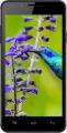 comparateur prix Intex Aqua Lions E3