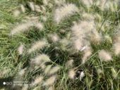 Najnowszy test kamery Xiaomi Redmi K20 Pro - Detail