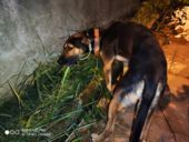 Najnowszy test kamery Xiaomi Redmi K20 Pro - Flash