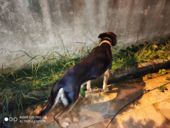 Najnowszy test kamery Xiaomi Redmi K20 Pro - Flash
