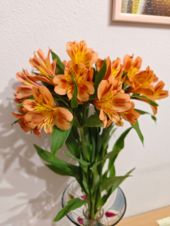 Dernier test de caméra vivo X90 Pro+ - Indoor