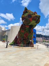 Dernier test de caméra Honor 200 - Outdoor