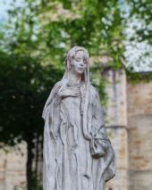 Dernier test de caméra Honor 200 - Bokeh effect