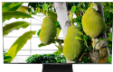 TCL 50MQLED85K price comparison