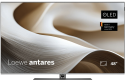 where to buy Loewe Antares 65