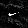 joshuaherrera1029