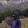 larryasberryjr