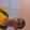a10557082