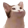 demwhknsa