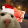 S22H_Bivaet