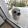 ilia-sherozia-67dee3091539f
