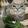 leodavidguerrasandoval2