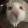 Blbs