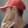 gabnintendog12