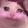 elgatulin