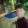 brunocrmoraes11