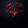darkordis90