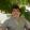 ivanedgardo2