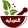 talaat201020